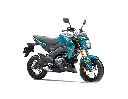 Kawasaki Z125 PRO